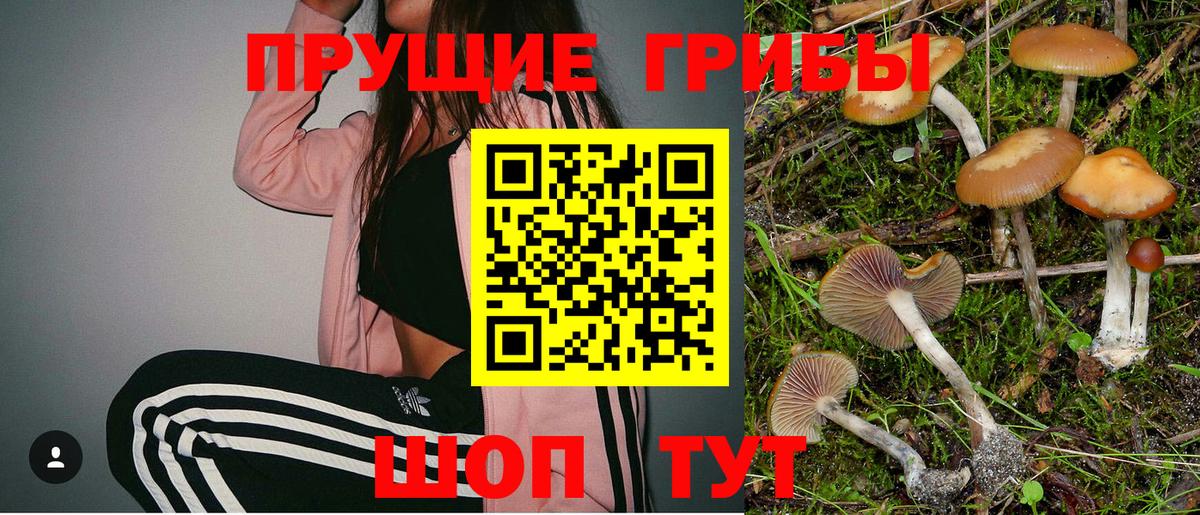 Югорск  Псилоцибиновые грибы ЛСД  Вход с VPN 
