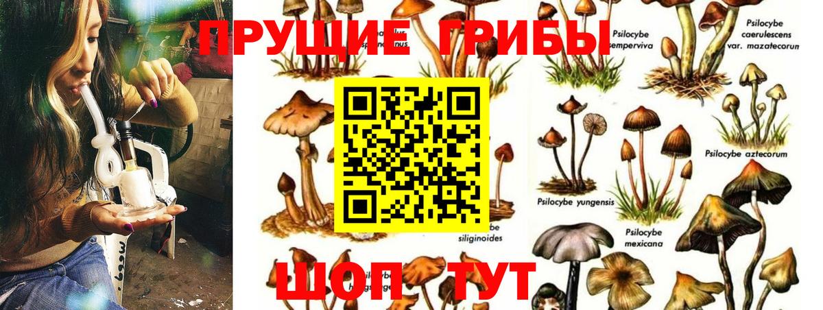 Псилоцибиновые грибы MAGIC MUSHROOMS Югорск